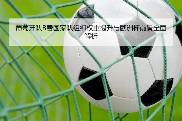 葡萄牙队B费国家队组织权重提升与欧洲杯前景全面解析